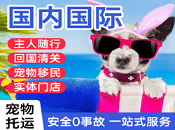 鞍山空运地址国际宠物托运 【国